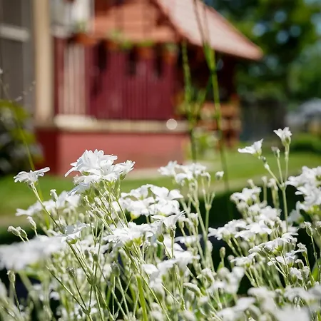 Homestay Mezeskucko *